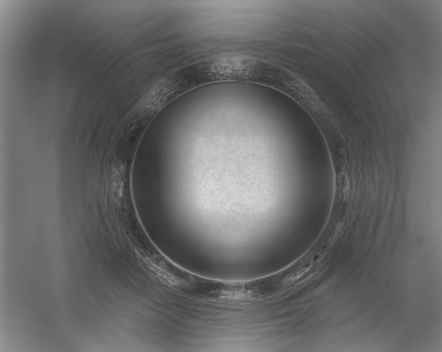 X0000059060458200510071046