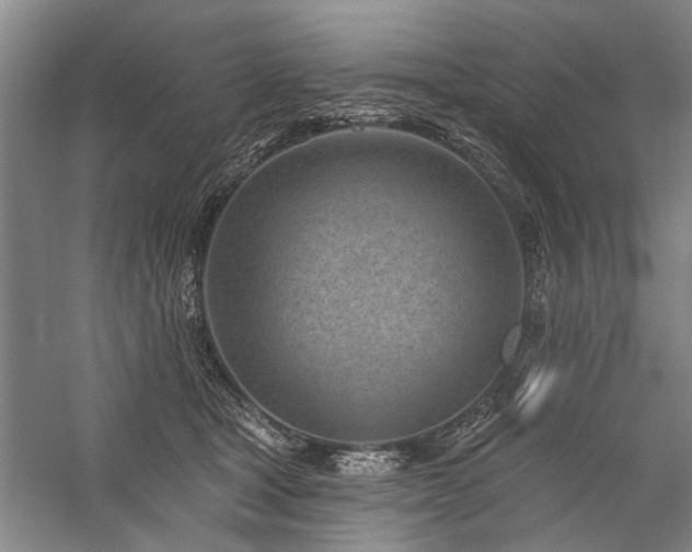 X0000059060465200510071046