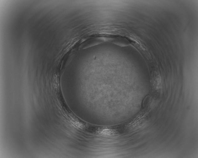 X0000059060467200510071046