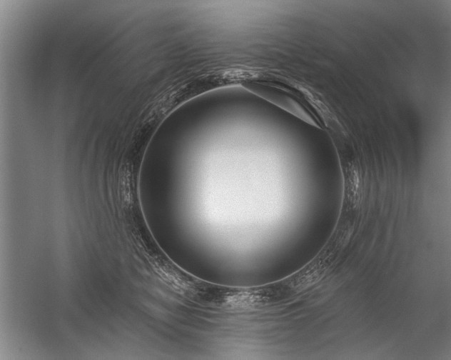 X0000059060470200510071047