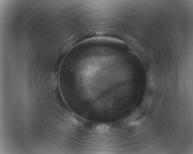 X0000059060471200510071047