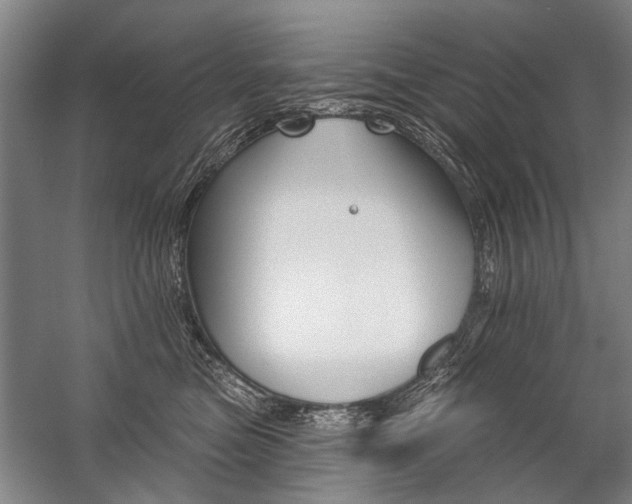 X0000059060473200510071047