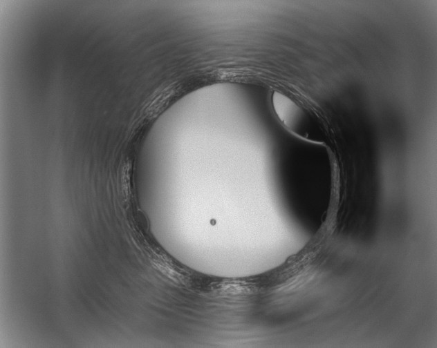 X0000059060475200510071047