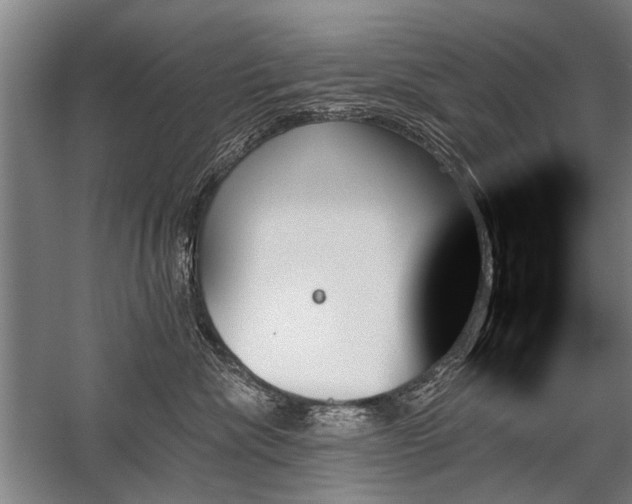 X0000059060476200510071047