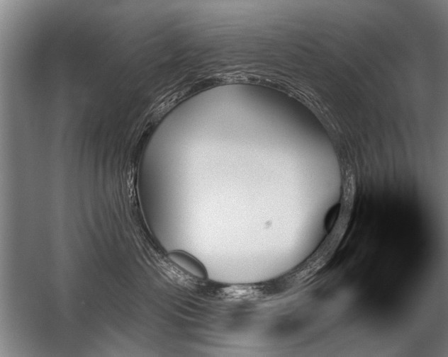 X0000059060477200510071047