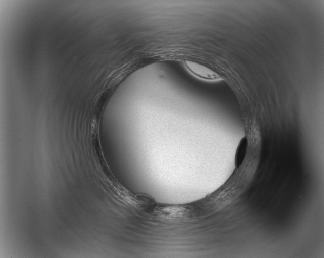 X0000059060478200510071047