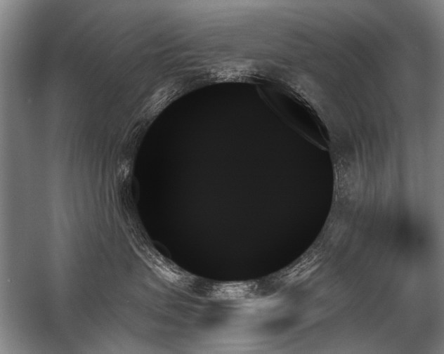 X0000059060479200510071047