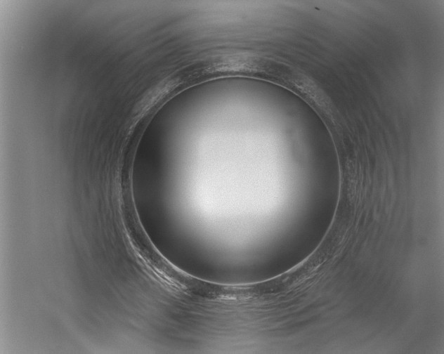 X0000059060482200510071046