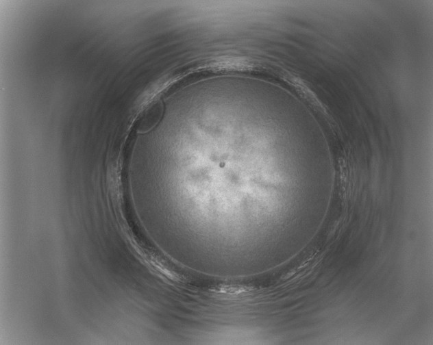 X0000059060487200510071046