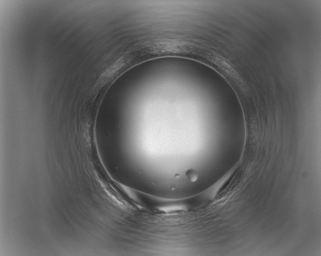 X0000059060489200510071046