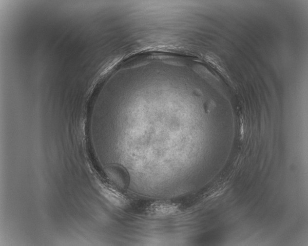 X0000059060491200510071046