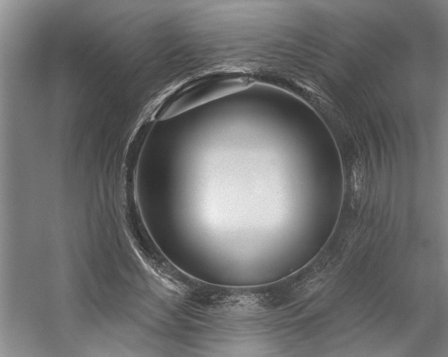 X0000059060492200510071046