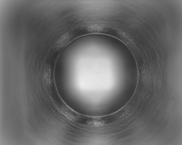 X0000059060498200510071046