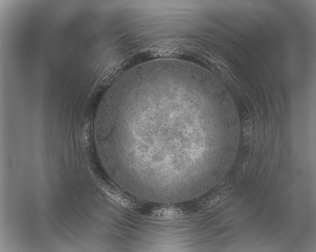 X0000059060503200510071045