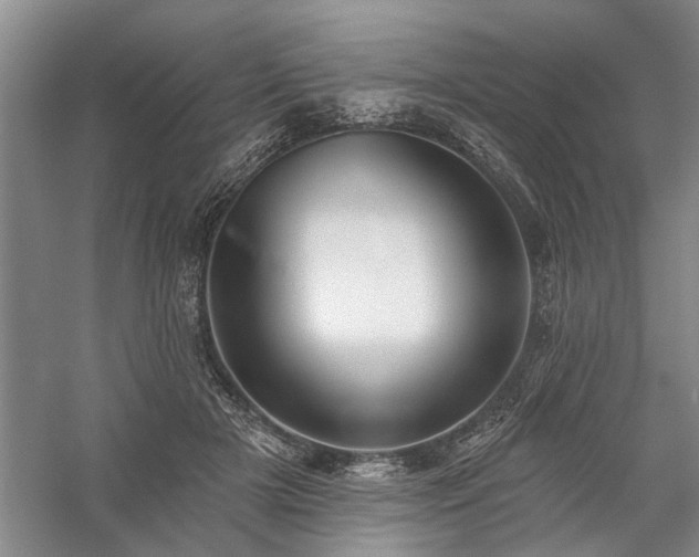 X0000059060505200510071045