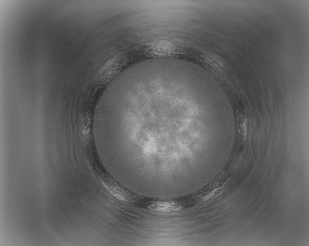 X0000059060507200510071045