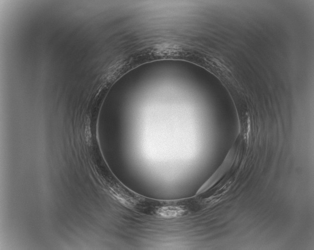 X0000059060508200510071045