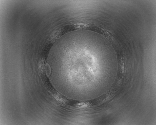 X0000059060511200510071045