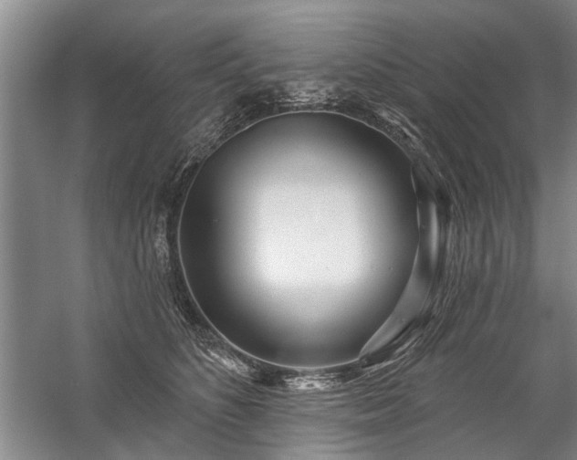 X0000059060516200510071045