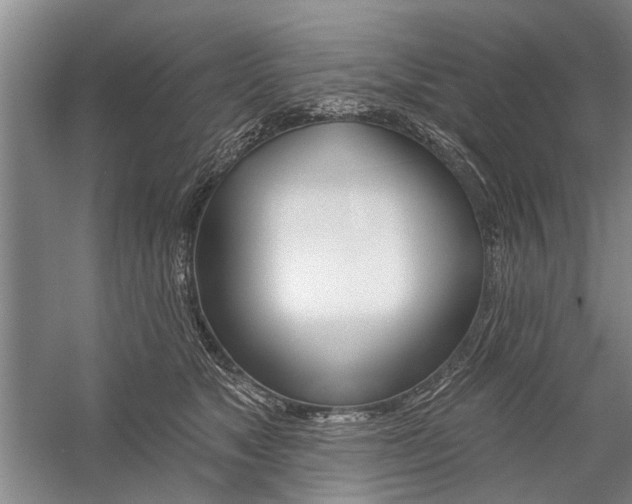 X0000059060517200510071045