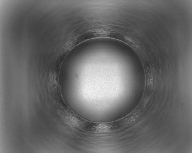 X0000059060518200510071045