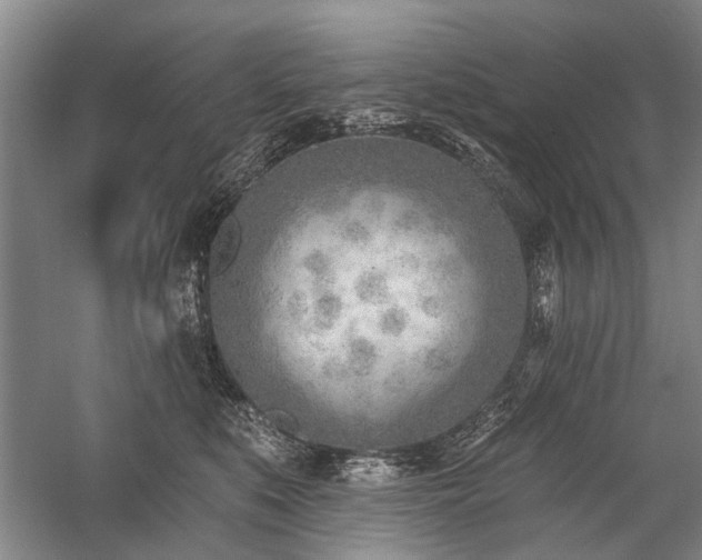 X0000059060519200510071045