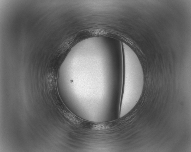 X0000059060521200510071045