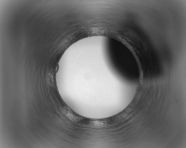 X0000059060522200510071045