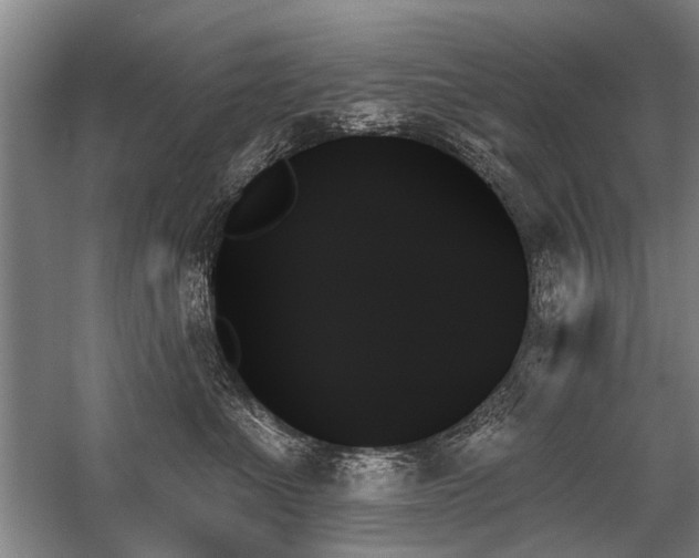 X0000059060523200510071045