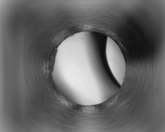 X0000059060525200510071045