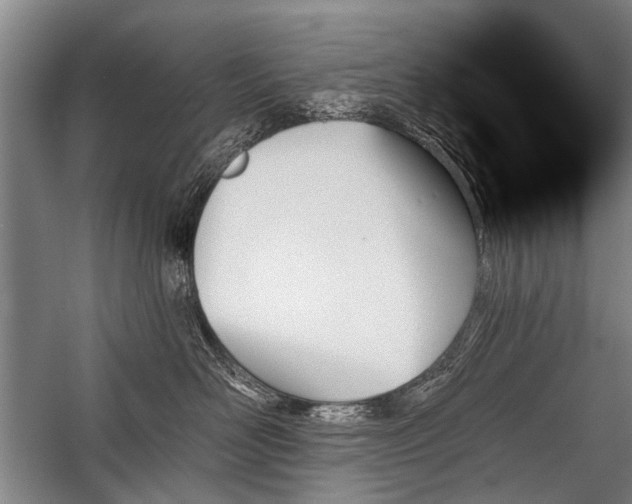 X0000059060526200510071045