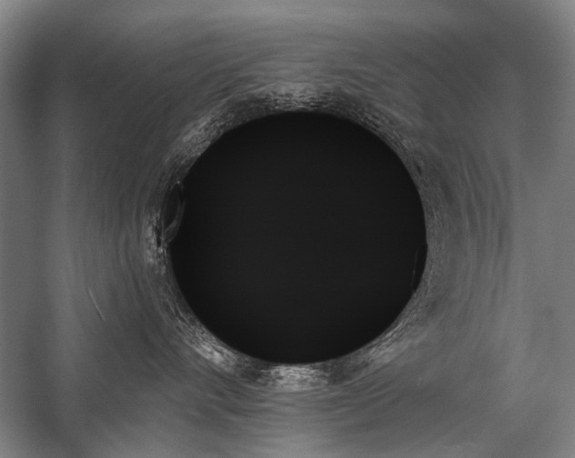 X0000059060528200510071045