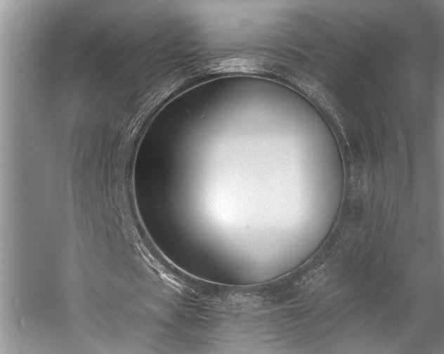 X0000059060529200510071044