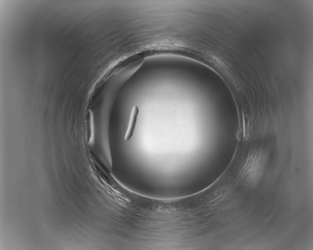 X0000059060531200510071044