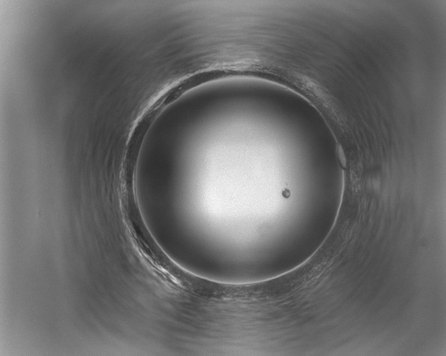 X0000059060532200510071044