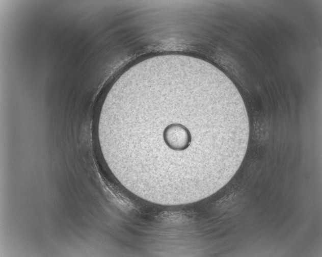 X0000059060534200510071044