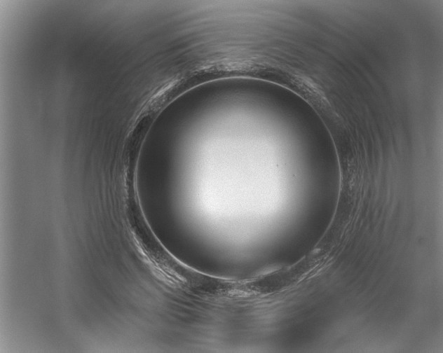 X0000059060542200510071044