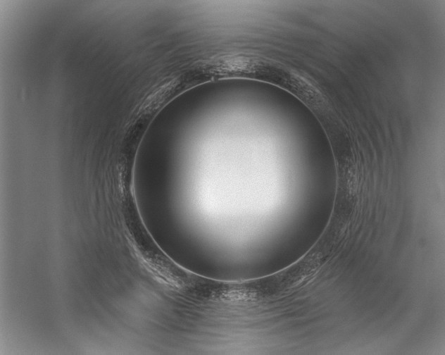 X0000059060546200510071045