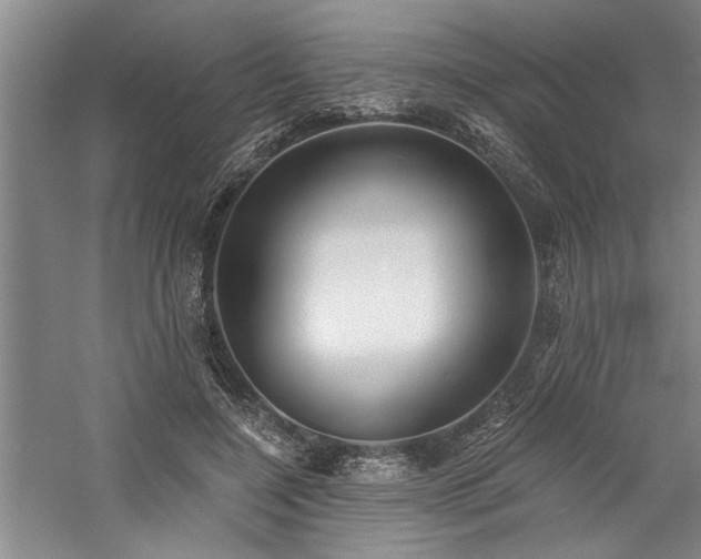 X0000059060548200510071045