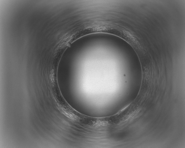 X0000059060549200510071045