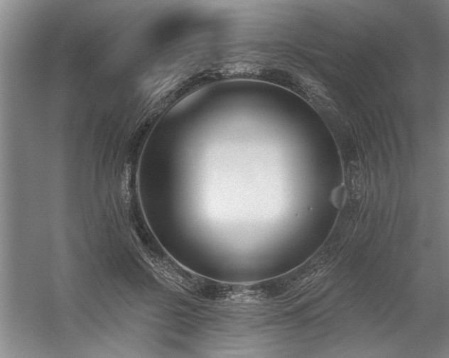 X0000059060550200510071045