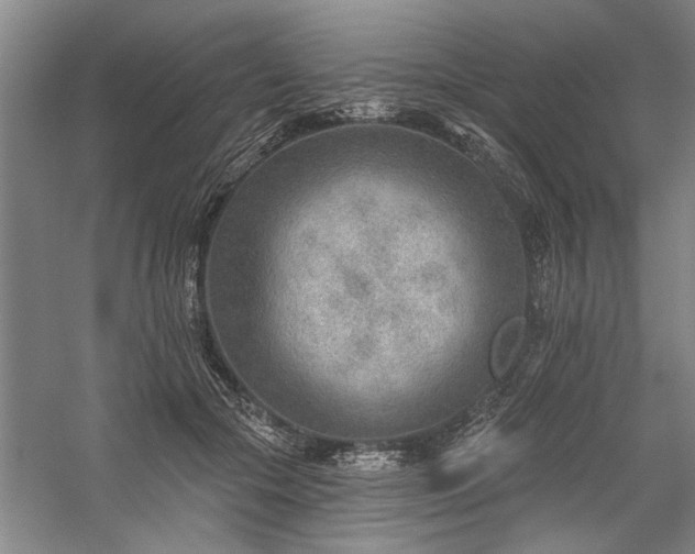 X0000059060553200510071045