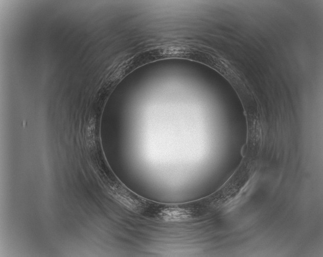 X0000059060557200510071045