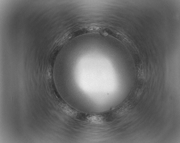 X0000059060561200510071045