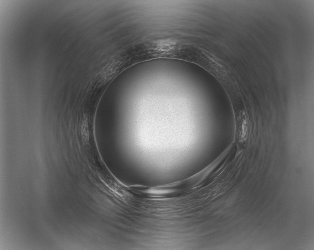 X0000059060562200510071045