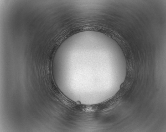 X0000059060565200510071045