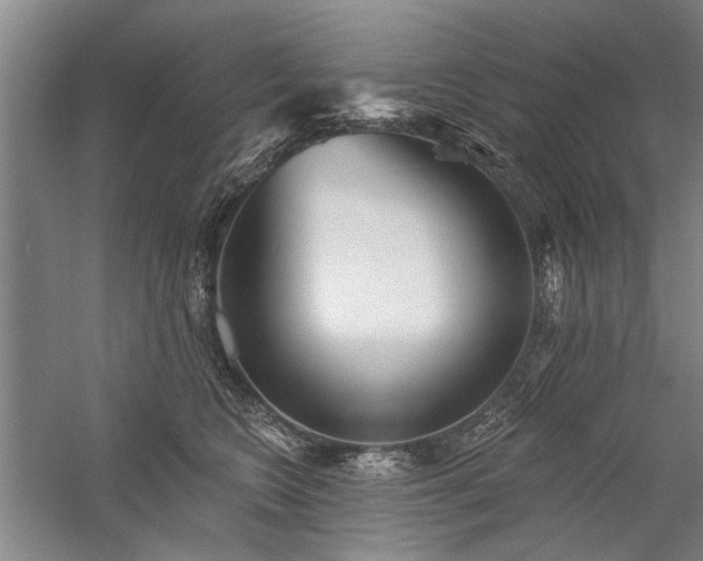 X0000059060566200510071045