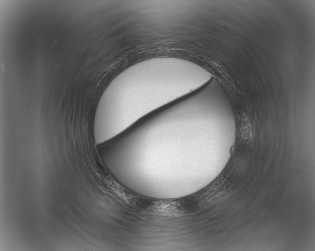 X0000059060569200510071045