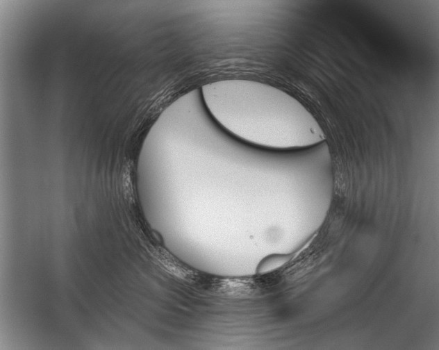 X0000059060573200510071045