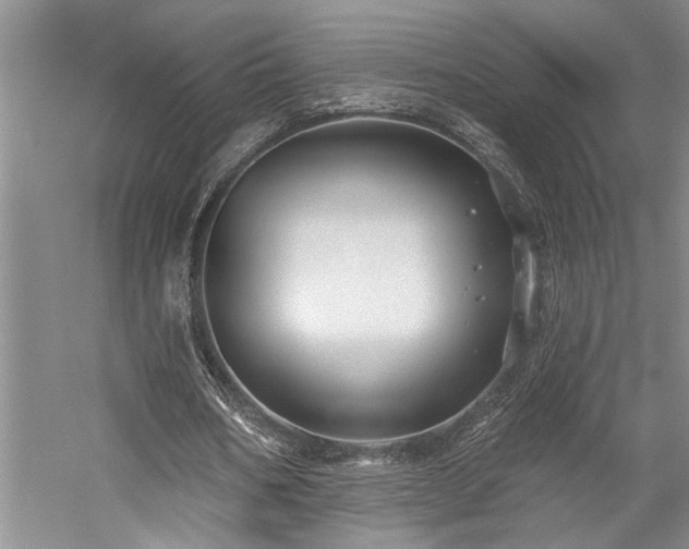 X0000059060578200510071044